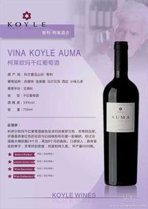 智利柯莱欧玛干红葡萄酒 VINA KOYLE AUMA 产品特点 1.柯莱欧玛年产量仅4000